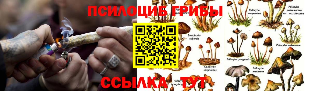 Псилоцибиновые грибы GOLDEN TEACHER Мурманск